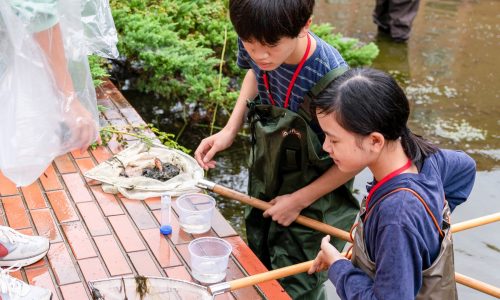 大学内の池の中に入り、取った生物が入っている透明なケースを覗き込む2人の受講生